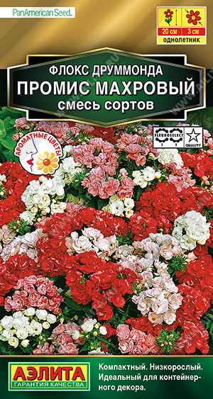 картинка Флокс Промис, смесь окрасок 10шт ц/п (Аэлита) махровый магазин Одежда+ являющийся официальным дистрибьютором в России 