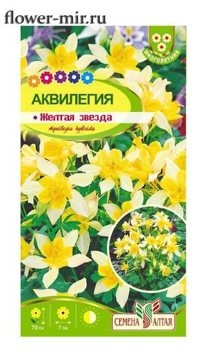 картинка Аквилегия Желтая звезда F1 0,1г ц/п (СемАлт) магазин Одежда+ являющийся официальным дистрибьютором в России 