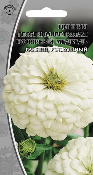 картинка Цинния Полярный медведь 0,5г ц/п (ВХ) магазин Одежда+ являющийся официальным дистрибьютором в России 