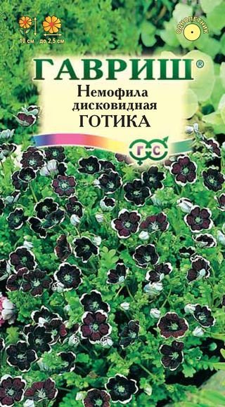 картинка Немофила Готика дисковидная 0,2г ц/п (Гавриш) Блэк магазин Одежда+ являющийся официальным дистрибьютором в России 