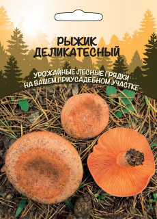 картинка Мицелий грибов Рыжик Деликатесный 15г ц/п б/ф ССПК Новинка! магазин Одежда+ являющийся официальным дистрибьютором в России 