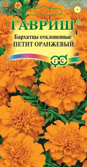 картинка Бархатцы Петит оранжевый 0,3г ц/п (Гавриш) откл.20/4 магазин Одежда+ являющийся официальным дистрибьютором в России 