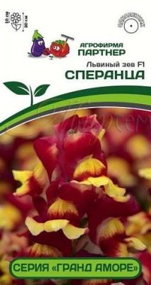 картинка Львиный зев Гранд Аморе Сперанца, низкорослый F1 10шт (Партнер) магазин Одежда+ являющийся официальным дистрибьютором в России 