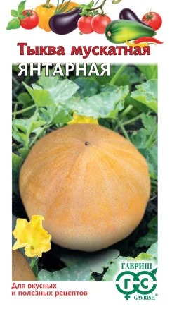 картинка Тыква Янтарная мускатная 1г ц/п (Гавриш) Новинка магазин Одежда+ являющийся официальным дистрибьютором в России 