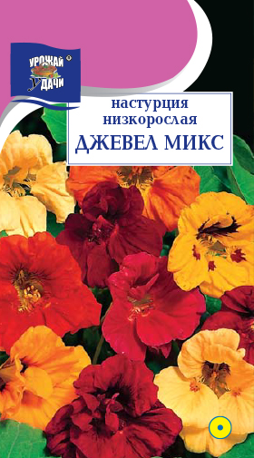 картинка Настурция Джевел Микс кустовая 1,5г ц/п (УУ) магазин Одежда+ являющийся официальным дистрибьютором в России 