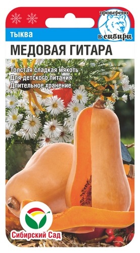 картинка Тыква Медовая гитара 5шт (СибСад)  магазин Одежда+ являющийся официальным дистрибьютором в России 