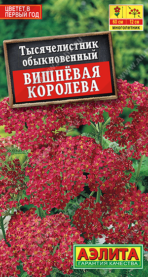 картинка Тысячелистник Вишневая Королева 0,1г ц/п (Аэлита) магазин Одежда+ являющийся официальным дистрибьютором в России 