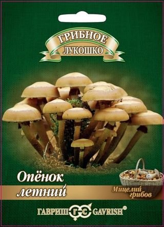 картинка Мицелий грибов Опенок летний 12шт ц/п (Гавриш) магазин Одежда+ являющийся официальным дистрибьютором в России 