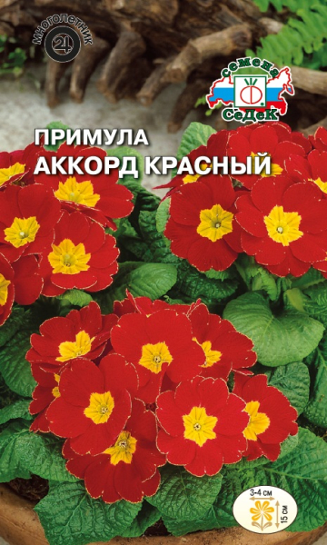 картинка Примула Аккорд красная 5г ц/п (Седек) магазин Одежда+ являющийся официальным дистрибьютором в России 