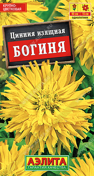 картинка Цинния Богиня 0,3г ц/п (Аэлита) кактусовидная магазин Одежда+ являющийся официальным дистрибьютором в России 