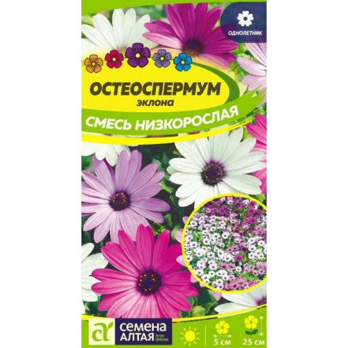 картинка Остеоспермум Смесь низкорослая 0,1г ц/п (СемАлт) магазин Одежда+ являющийся официальным дистрибьютором в России 