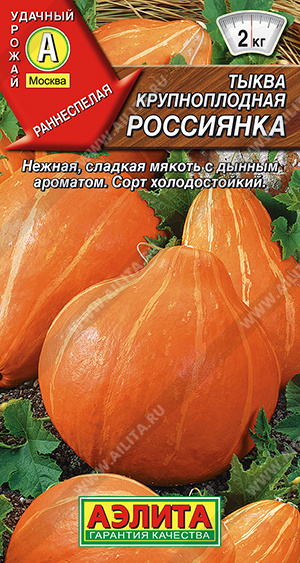 картинка Тыква Россиянка 1г ц/п (Аэлита) магазин Одежда+ являющийся официальным дистрибьютором в России 