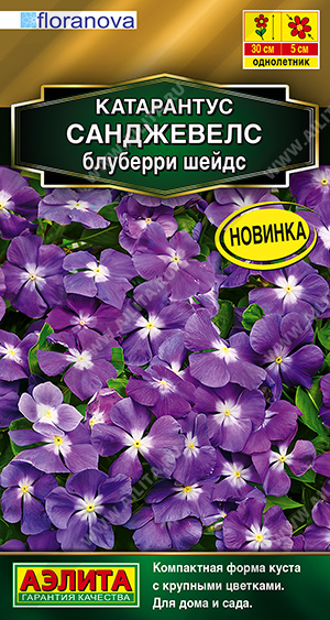 картинка Катарантус Санджевелс блуберри шейдс 7шт ц/п (Аэлита) Новинка магазин Одежда+ являющийся официальным дистрибьютором в России 