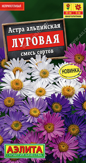 картинка Астра многолетняя Альпийская луговая, смесь 0,1г ц/п (Аэлита) Новинка магазин Одежда+ являющийся официальным дистрибьютором в России 