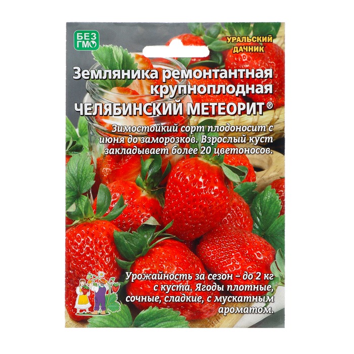 картинка Земляника Челябинский метеорит 10шт ц/п б/ф (УД) ремонтантная магазин Одежда+ являющийся официальным дистрибьютором в России 