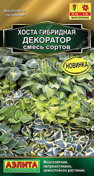 картинка Хоста Декоратор, смесь 5шт ц/п (Аэлита) магазин Одежда+ являющийся официальным дистрибьютором в России 