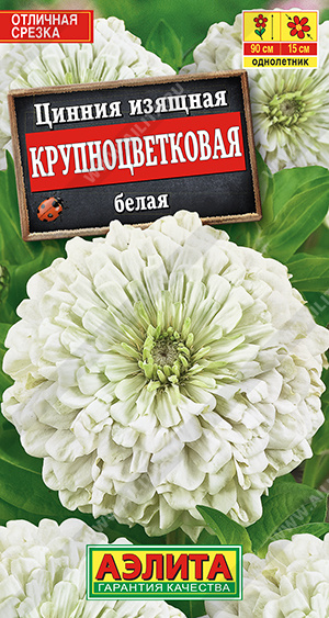 картинка Цинния Крупноцветковая Белая 0,3г ц/п *(Аэлита) 90см магазин Одежда+ являющийся официальным дистрибьютором в России 