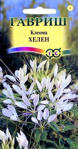 картинка Клеома Хелен 0,2г ц/п (Гавриш) белая магазин Одежда+ являющийся официальным дистрибьютором в России 
