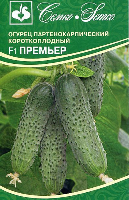 картинка Огурец Премьер F1 5шт (Семко) магазин Одежда+ являющийся официальным дистрибьютором в России 