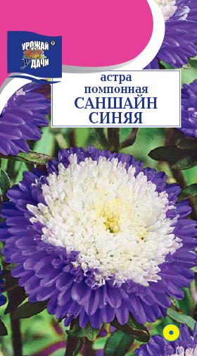 картинка Астра Саншайн синяя 0,2г ц/п (УУ) помпон. магазин Одежда+ являющийся официальным дистрибьютором в России 
