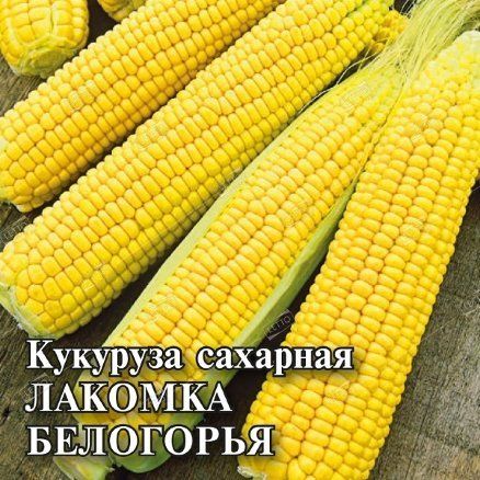 картинка Кукуруза Лакомка Белогорья 100г (Гавриш) магазин Одежда+ являющийся официальным дистрибьютором в России 