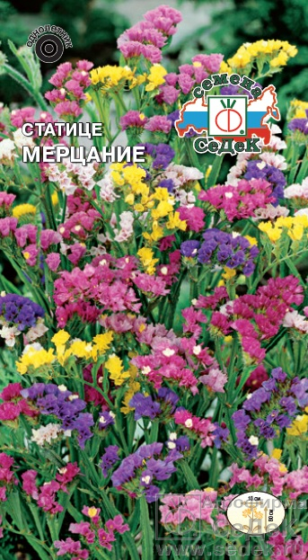 картинка Статица Мерцание, смесь 0,2г ц/п (Седек) магазин Одежда+ являющийся официальным дистрибьютором в России 