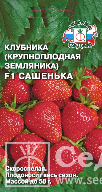 картинка Земляника Сашенька F1 15шт ц/п (Седек) ремонт,скоросп.50г магазин Одежда+ являющийся официальным дистрибьютором в России 