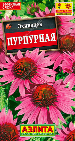 картинка Эхинацея Пурпурная (Рудбекия) 0,2г ц/п (Аэлита) магазин Одежда+ являющийся официальным дистрибьютором в России 