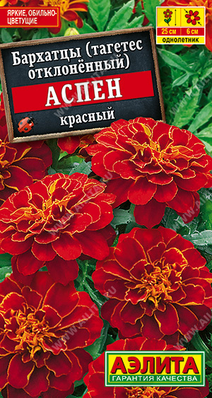 картинка Бархатцы Аспен красный 0,1г ц/п (Аэлита) 25см/5см магазин Одежда+ являющийся официальным дистрибьютором в России 