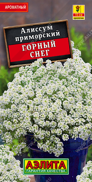 картинка Алиссум Горный снег 0,05г ц/п (Аэлита) магазин Одежда+ являющийся официальным дистрибьютором в России 