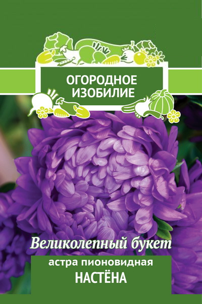картинка Астра Настена, пионовидная 0,3г лид/п (Поиск) Огород.изобилие магазин Одежда+ являющийся официальным дистрибьютором в России 
