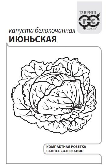 картинка Капуста Июньская 0,5г б/п (Гавриш) ранн,до 2,4кг магазин Одежда+ являющийся официальным дистрибьютором в России 