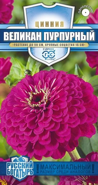 картинка Цинния Великан Пурпурный 0,3г ц/п (Гавриш) Рус.богатырь  магазин Одежда+ являющийся официальным дистрибьютором в России 