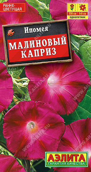 картинка Ипомея Малиновый каприз 1г ц/п (Аэлита) магазин Одежда+ являющийся официальным дистрибьютором в России 