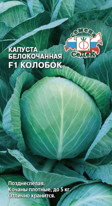 картинка Капуста Колобок F1 0,1г б/п (Седек)  магазин Одежда+ являющийся официальным дистрибьютором в России 