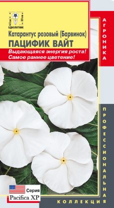 картинка Катарантус розовый (Барвинок) Пацифик Вайт 8шт ц/п (ПлазмаС) Новинка! магазин Одежда+ являющийся официальным дистрибьютором в России 
