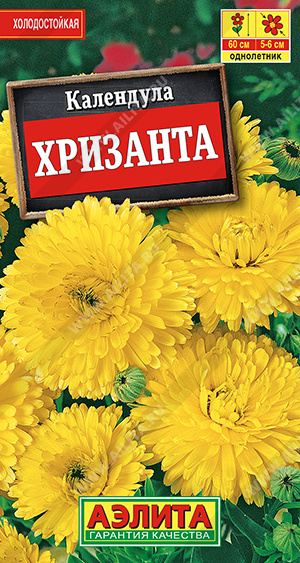 картинка Календула Хризанта 0,5г ц/п (Аэлита) магазин Одежда+ являющийся официальным дистрибьютором в России 