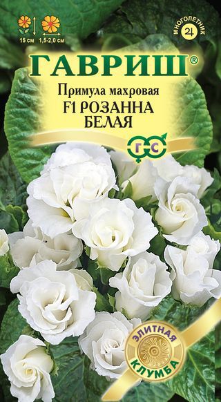 картинка Примула Розана белая махровая F1 4шт ц/п (Гавриш) Саката магазин Одежда+ являющийся официальным дистрибьютором в России 