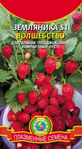картинка Земляника Волшебство S1 10шт ц/п (ПлазмаС) магазин Одежда+ являющийся официальным дистрибьютором в России 