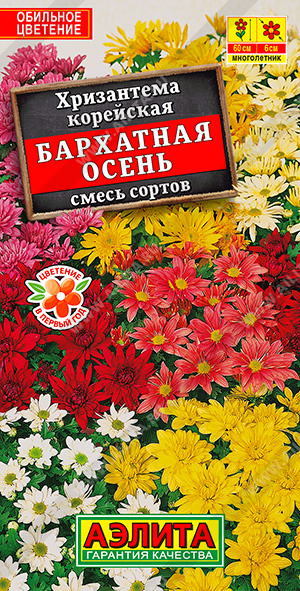 картинка Хризантема Бархатная осень корейская, смесь 0,02г ц/п (Аэлита) магазин Одежда+ являющийся официальным дистрибьютором в России 