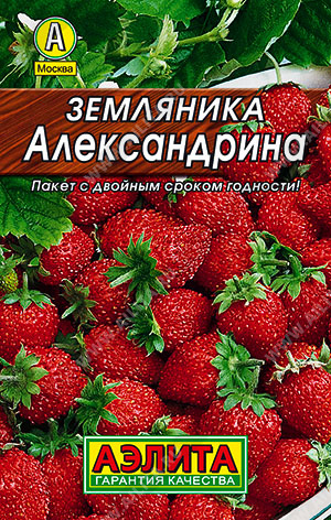 картинка Земляника Александрина 0,04г ц/п (Аэлита) магазин Одежда+ являющийся официальным дистрибьютором в России 