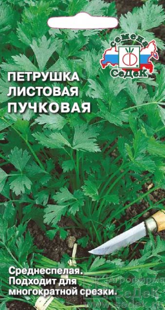 картинка Петрушка листовая Пучковая 2г ц/п (Седек) магазин Одежда+ являющийся официальным дистрибьютором в России 