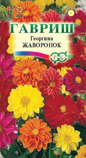 картинка Георгина Жаворонок, смесь 0,3г ц/п (Гавриш) магазин Одежда+ являющийся официальным дистрибьютором в России 