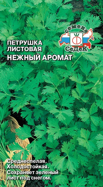 картинка Петрушка листовая Нежный аромат 2г ц/п (Седек) магазин Одежда+ являющийся официальным дистрибьютором в России 