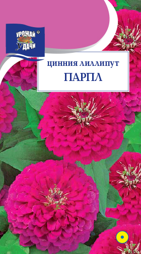 картинка Цинния Лиллипут Парпл 0,3г ц/п (УУ) магазин Одежда+ являющийся официальным дистрибьютором в России 