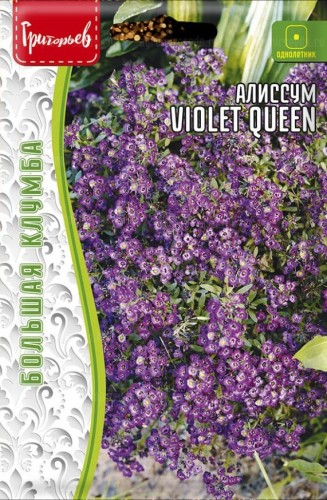 картинка Алиссум Violet Queen 0,1г (Григорьев) магазин Одежда+ являющийся официальным дистрибьютором в России 