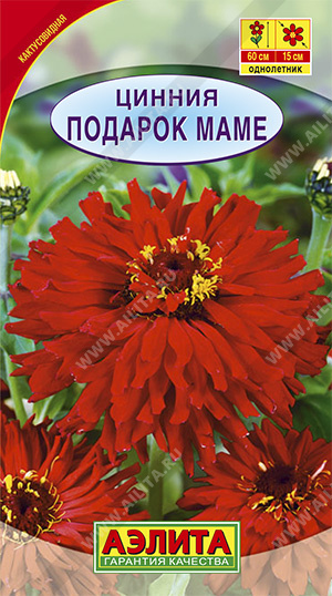 картинка Цинния Подарок маме 0,3г ц/п *(Аэлита) красная, 90см магазин Одежда+ являющийся официальным дистрибьютором в России 