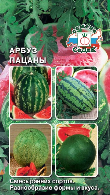 картинка Арбуз Пацаны F1 1г ц/п (Седек) ран. 2-3кг магазин Одежда+ являющийся официальным дистрибьютором в России 