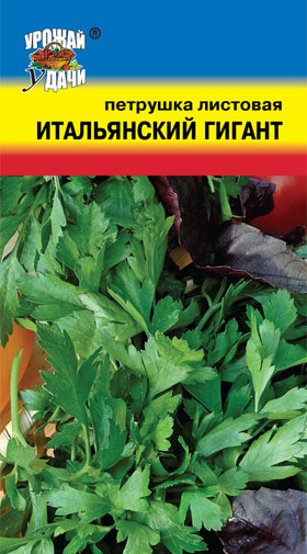 картинка Петрушка листовая Итальянский гигант 2г б/п (УУ) магазин Одежда+ являющийся официальным дистрибьютором в России 