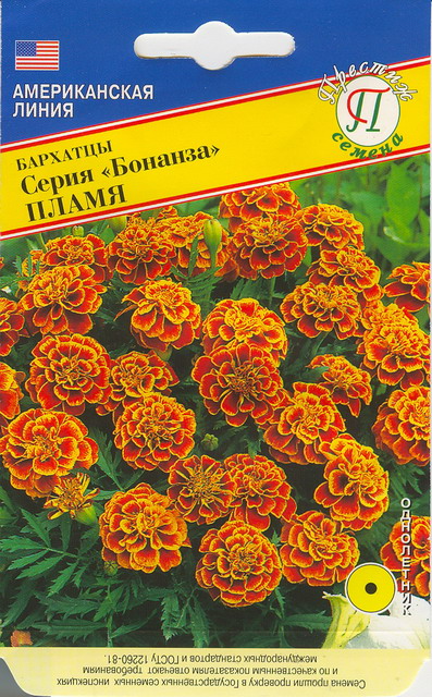 картинка Бархатцы Бонанза Пламя 10шт (Престиж) 25/6 магазин Одежда+ являющийся официальным дистрибьютором в России 